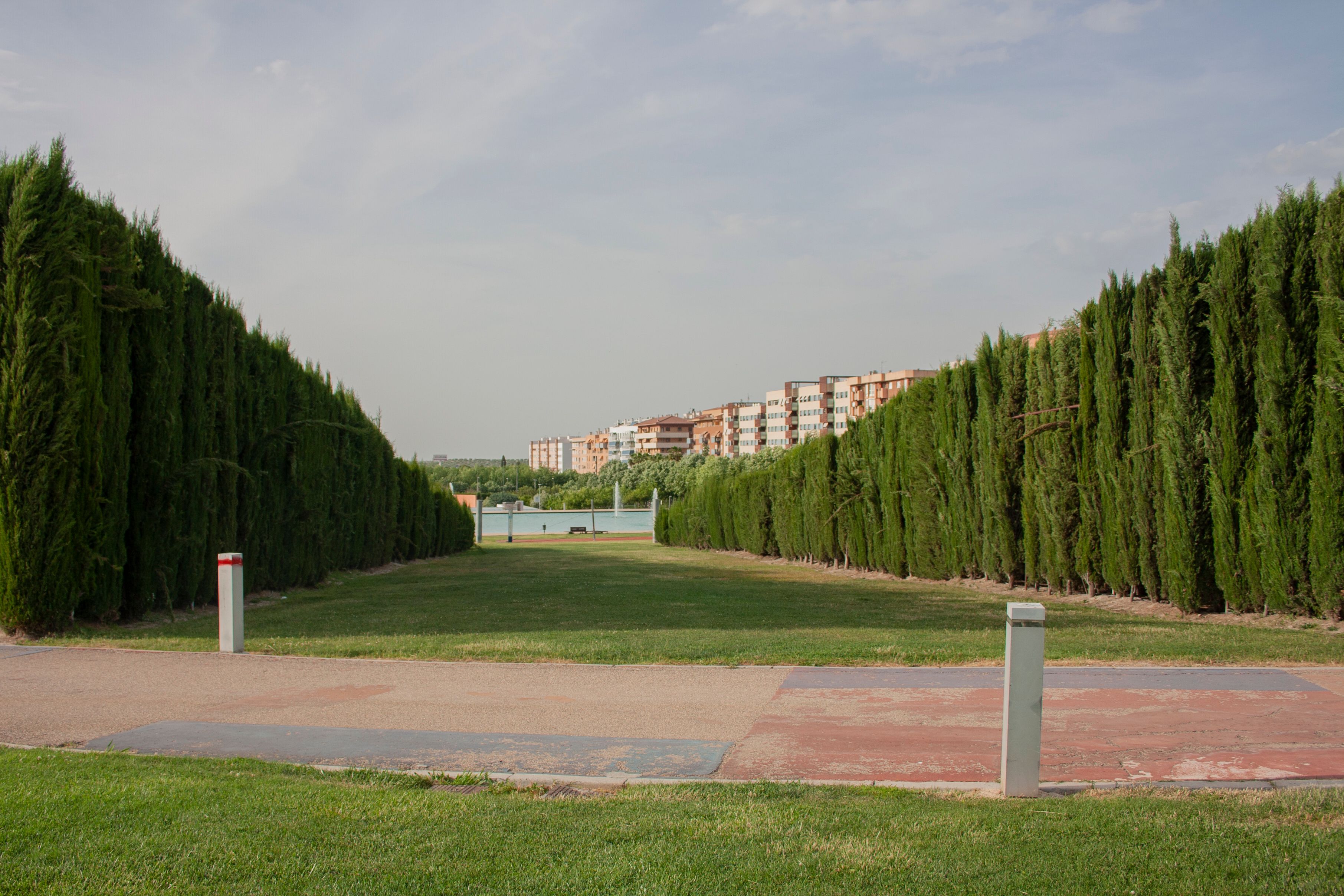 Imagen de la galería número 8