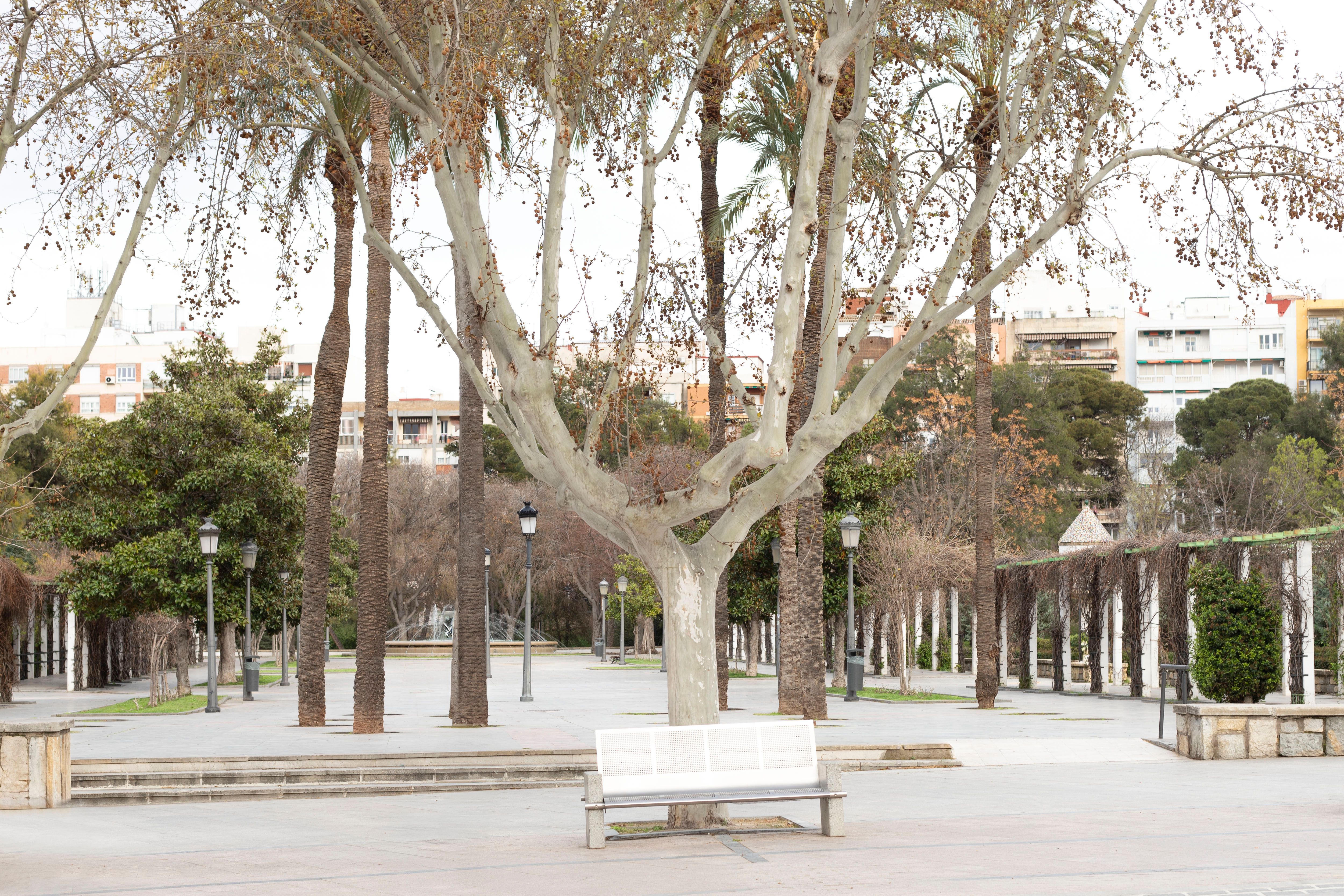 Imagen de la galería número 2