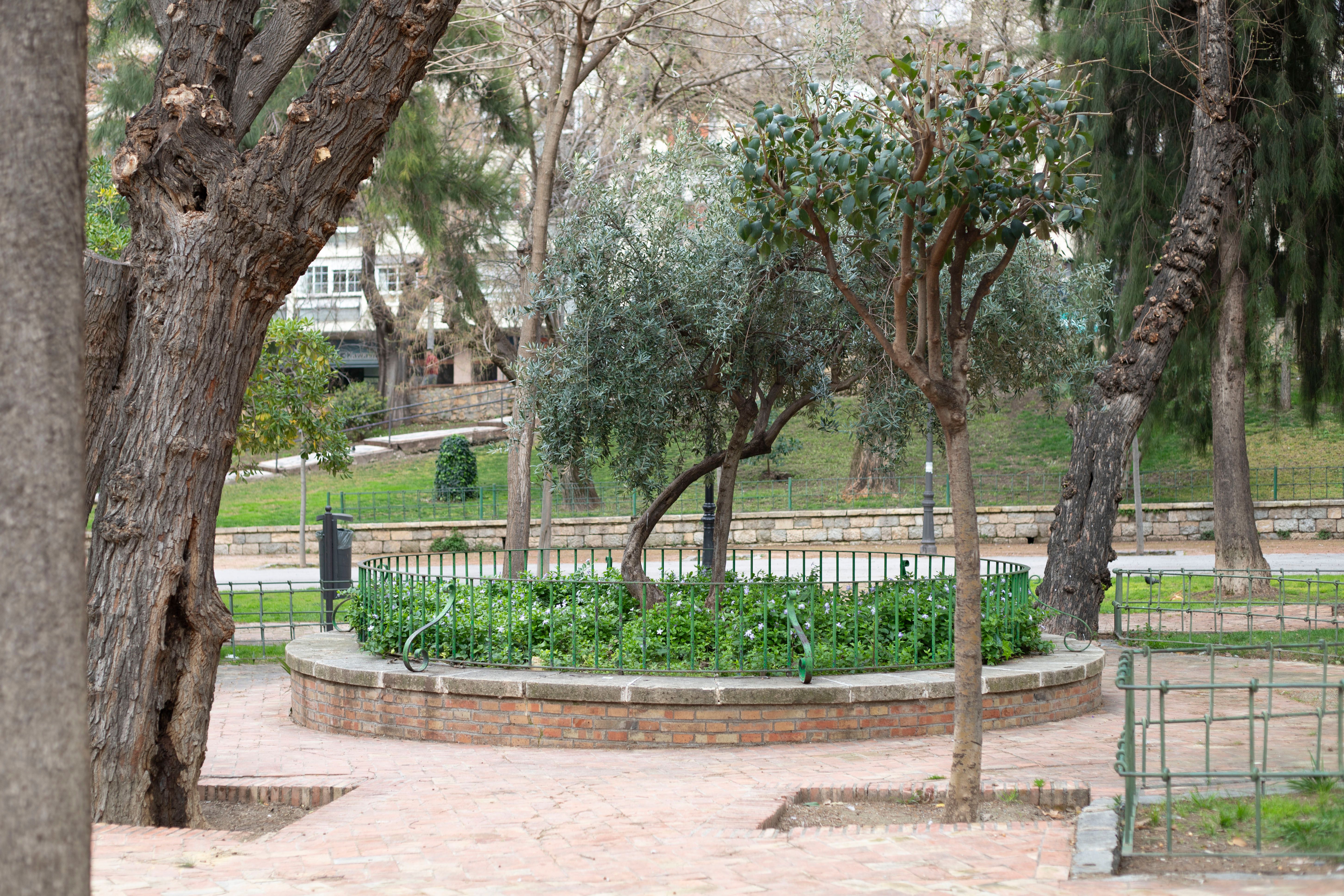 Imagen de la galería número 8
