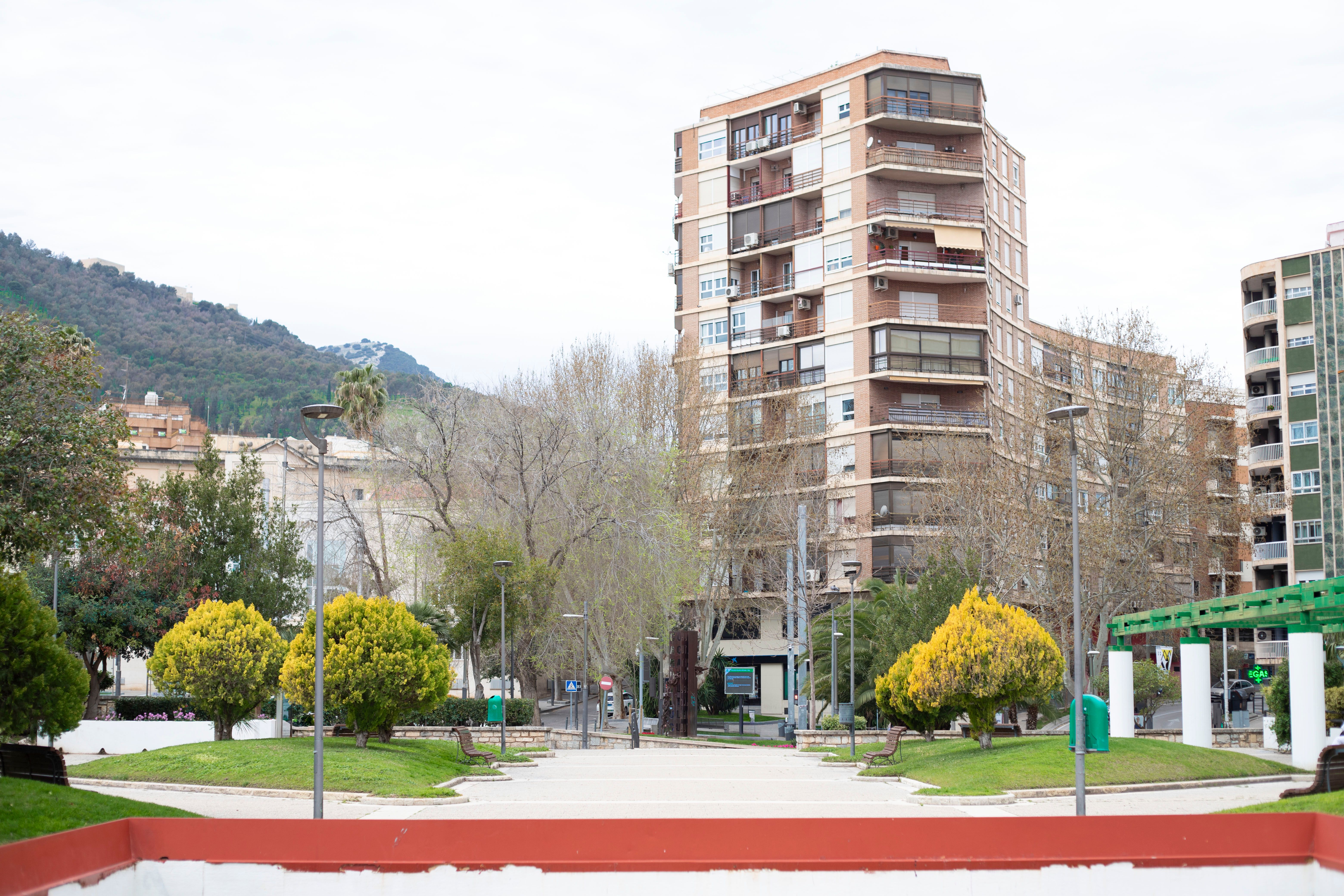 Imagen de la galería número 11