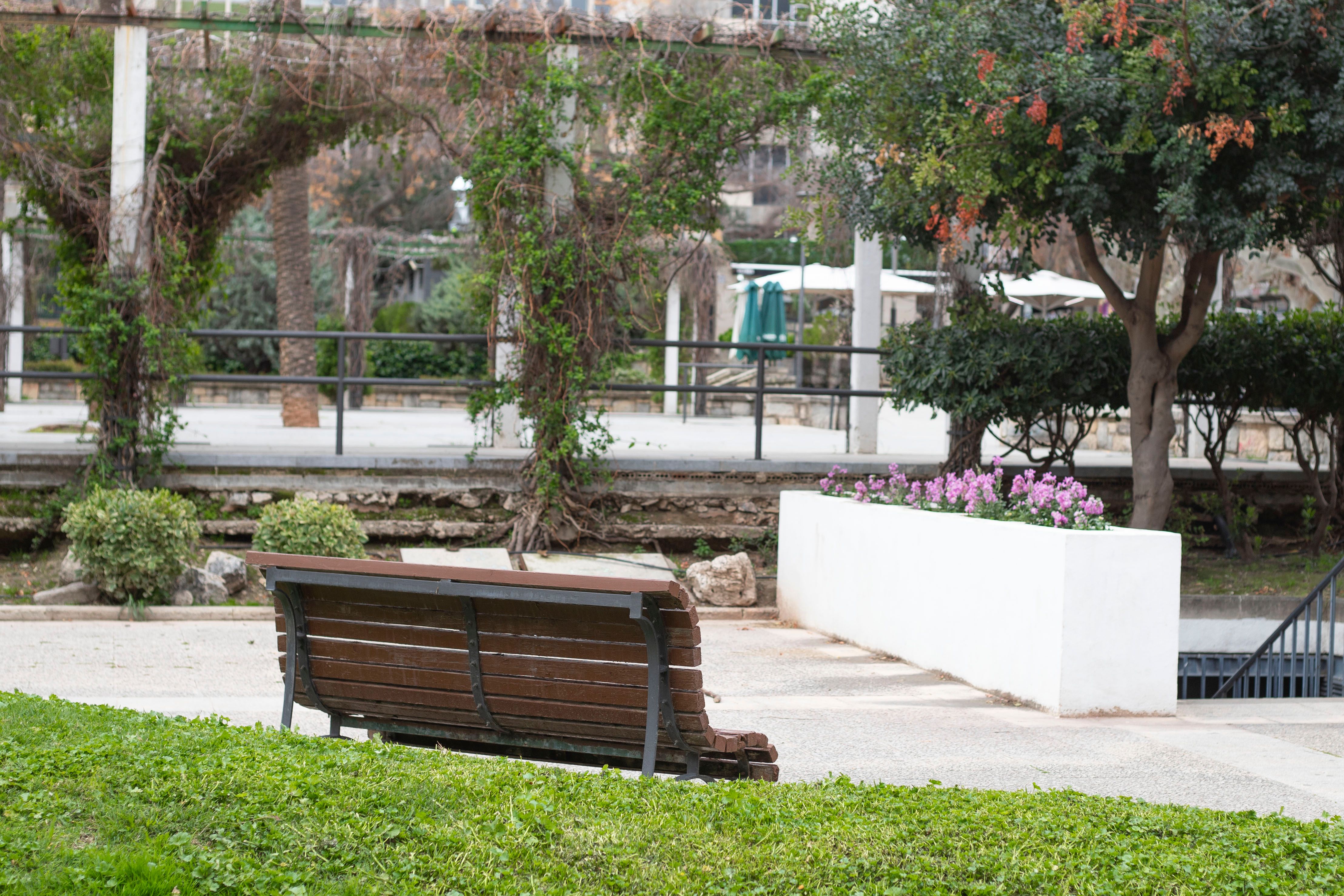 Imagen de la galería número 10