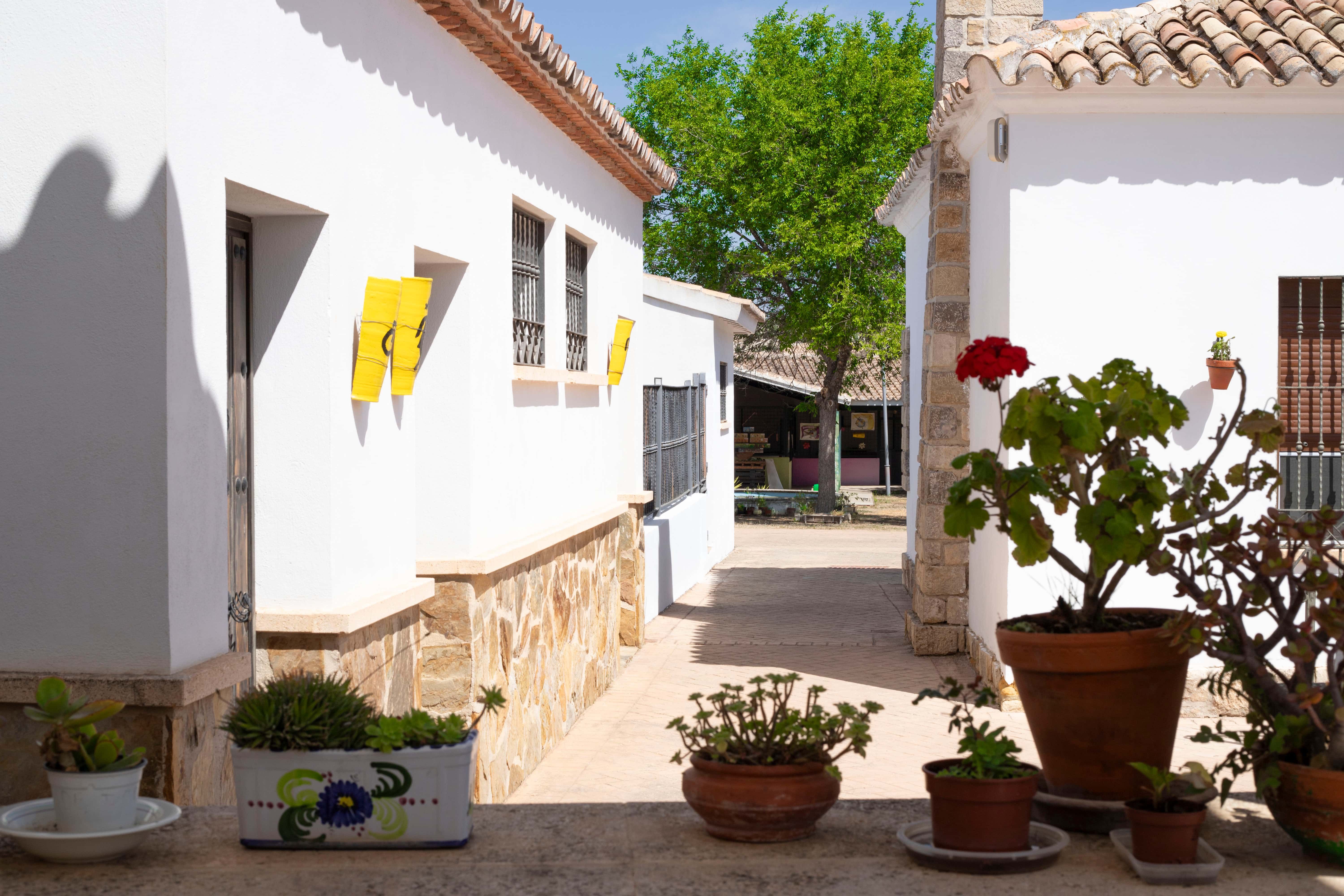 Imagen de la galería número 4