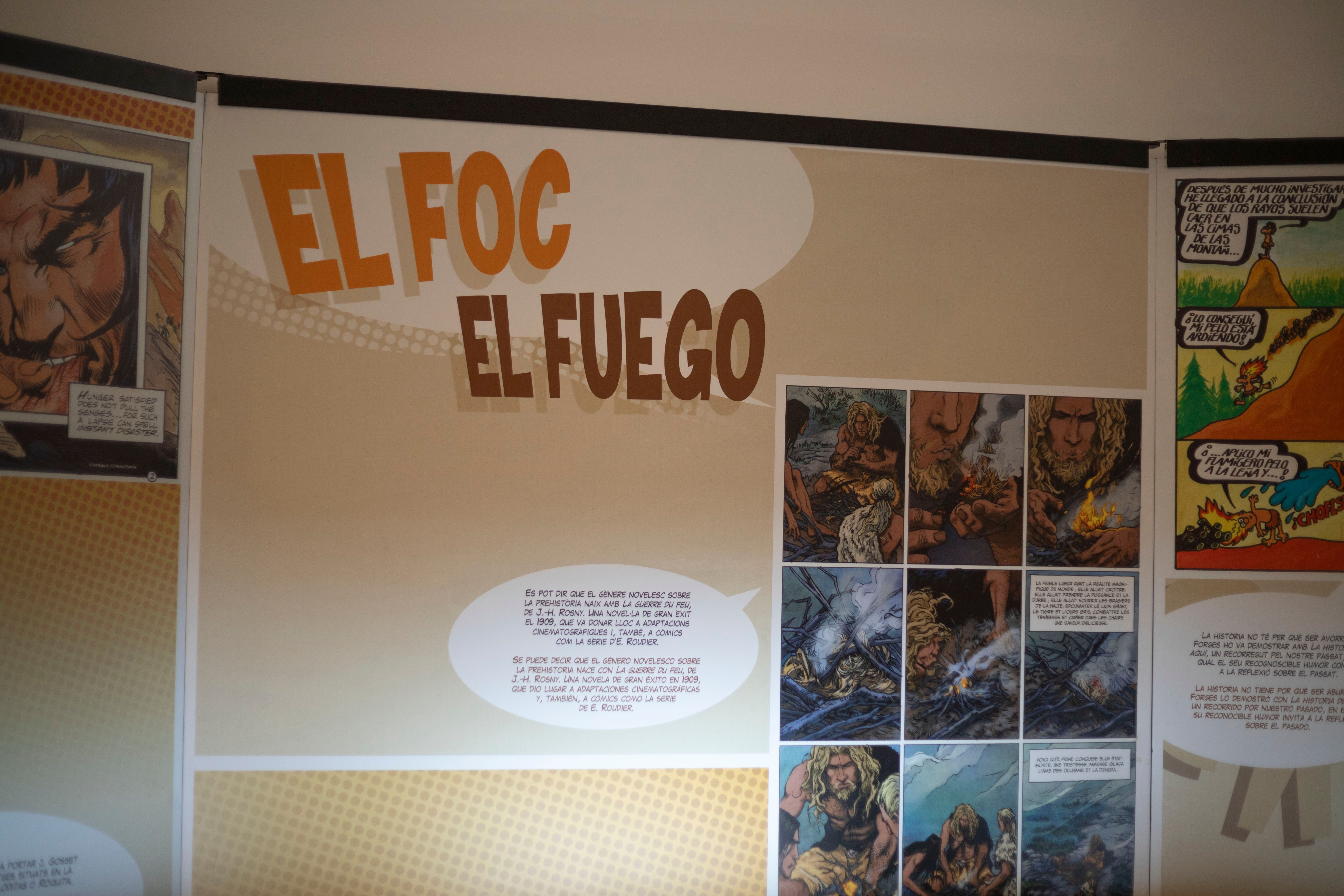 Imagen de la galería número 10
