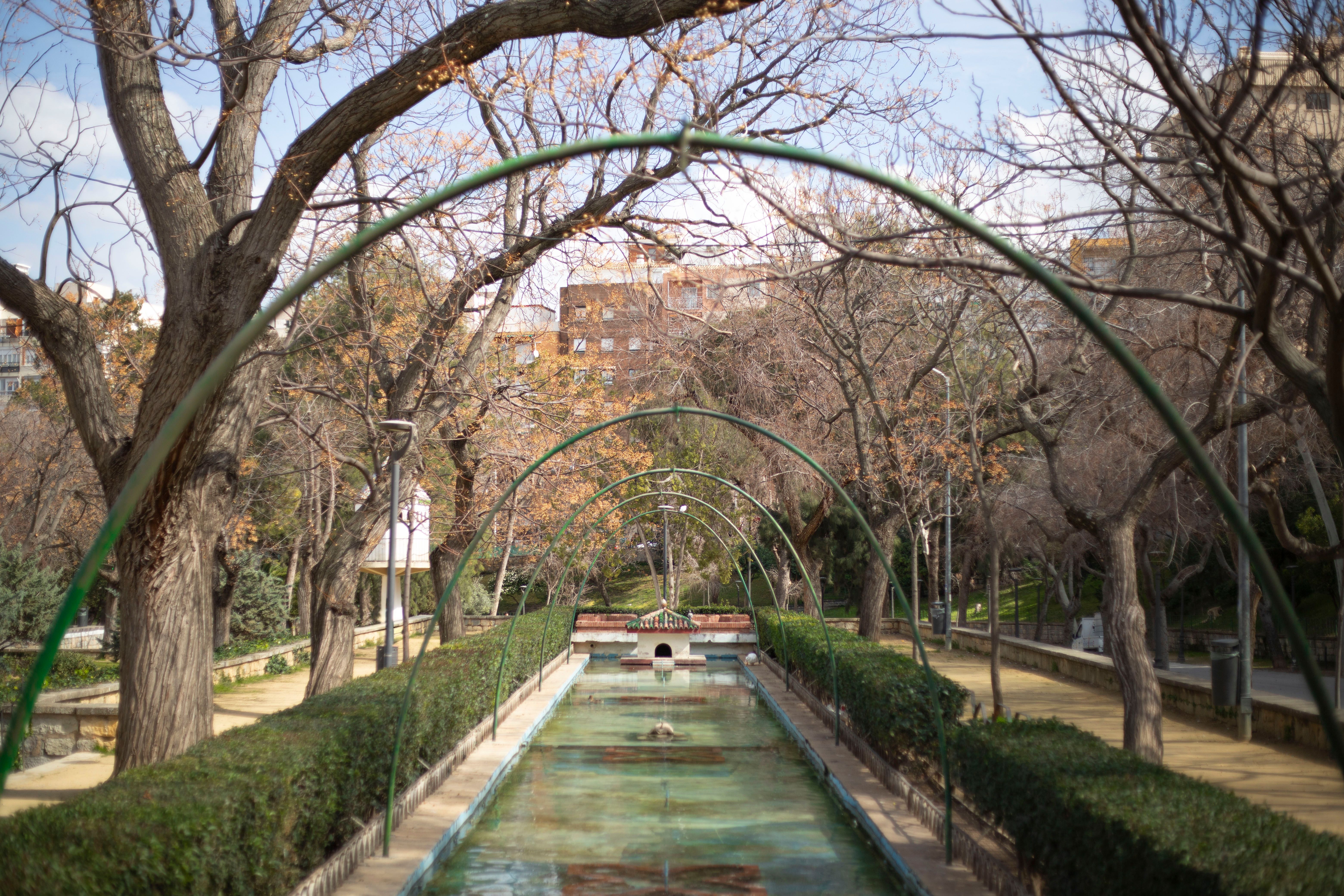 Imagen de la galería número 1