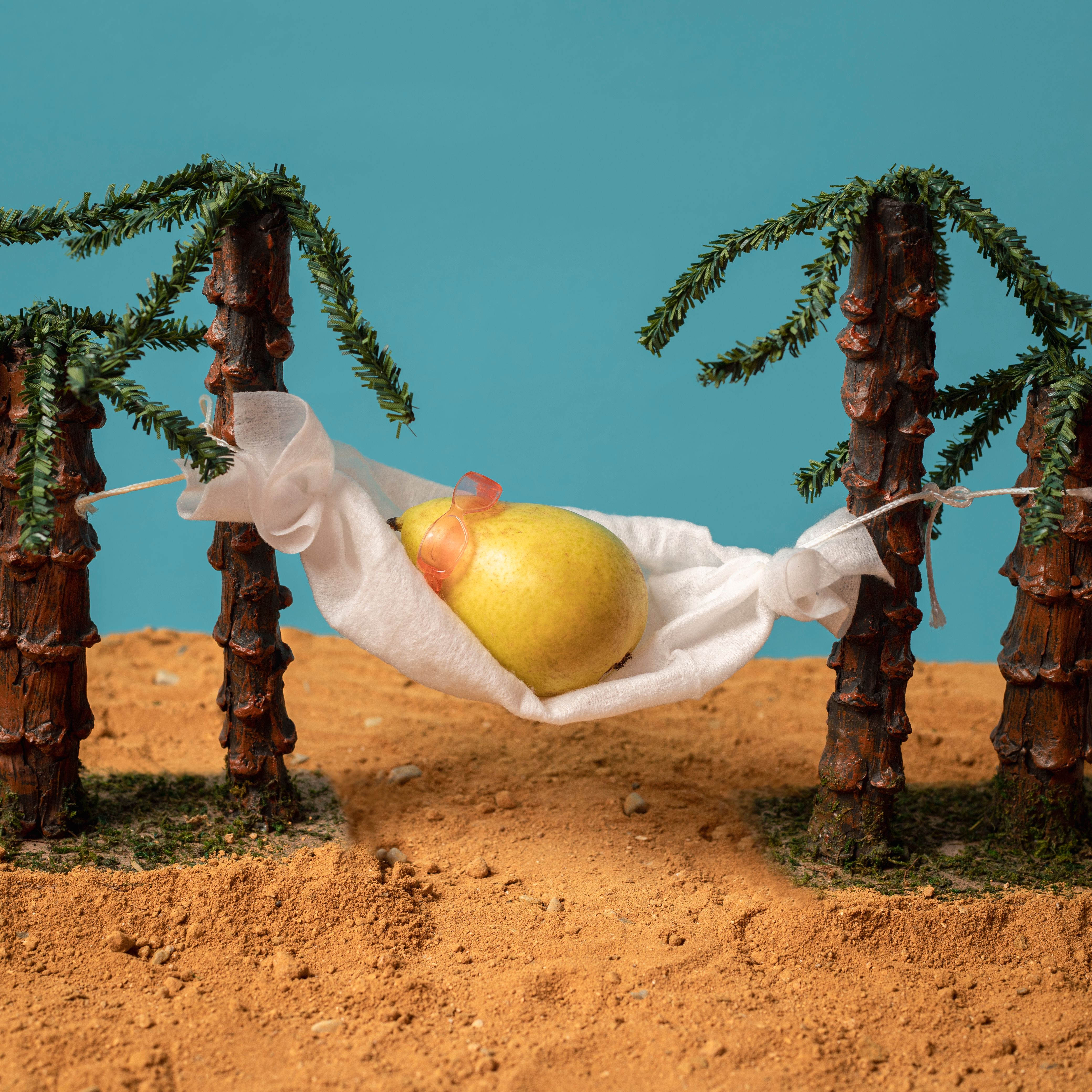 Foto de la galería Un verano más sano