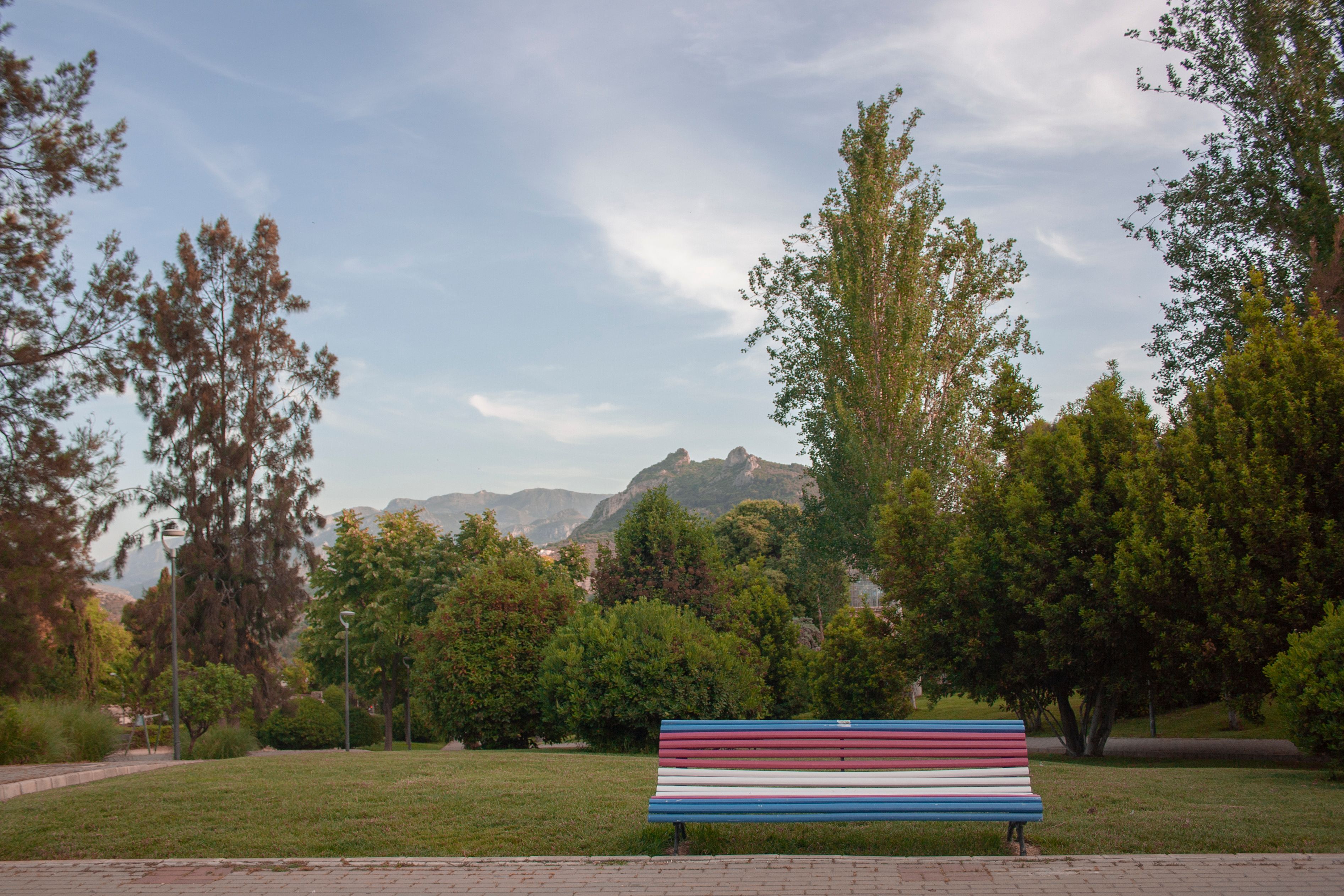 Foto de galería