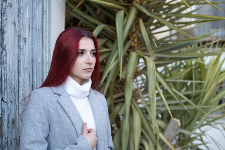 Imagen de la galería número 6