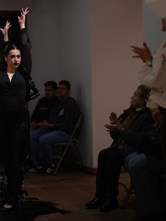 Imagen de la galería número 15