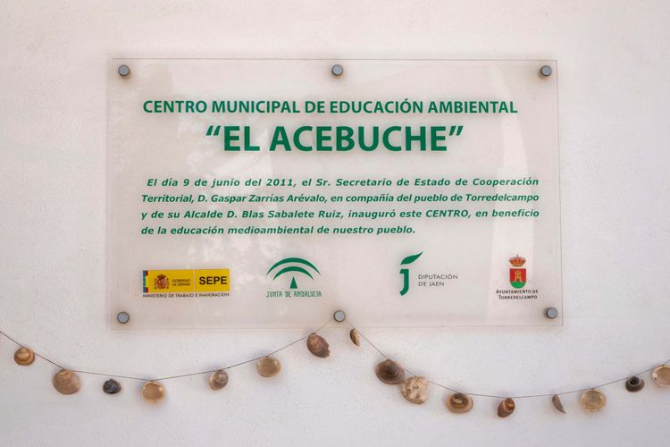 Imagen de la galería número 5