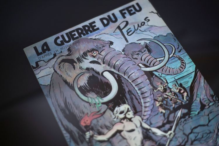 Imagen de la galería número 3