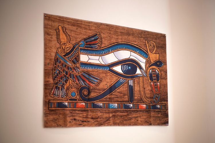 Imagen de la galería número 12