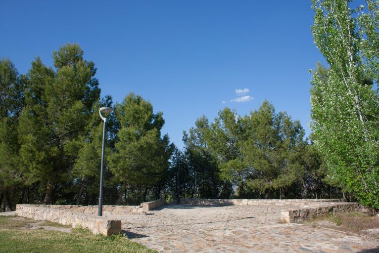 Imagen de la galería número 5