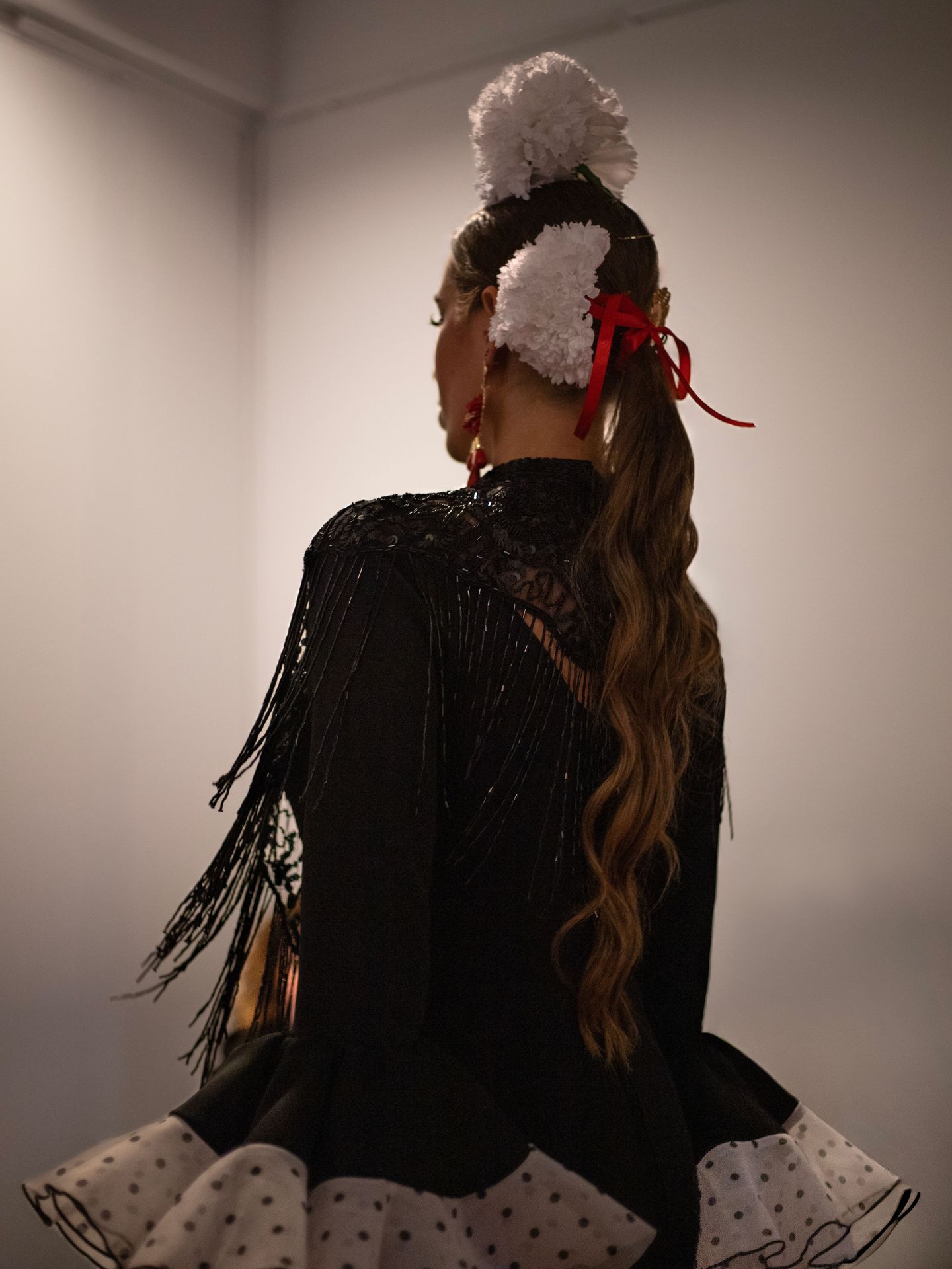 Foto seleccionada de galería Flamenca Jaén 2026