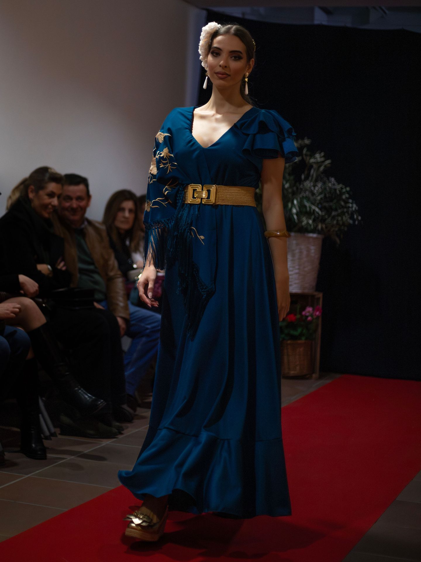 Foto seleccionada de galería Flamenca Jaén 2026