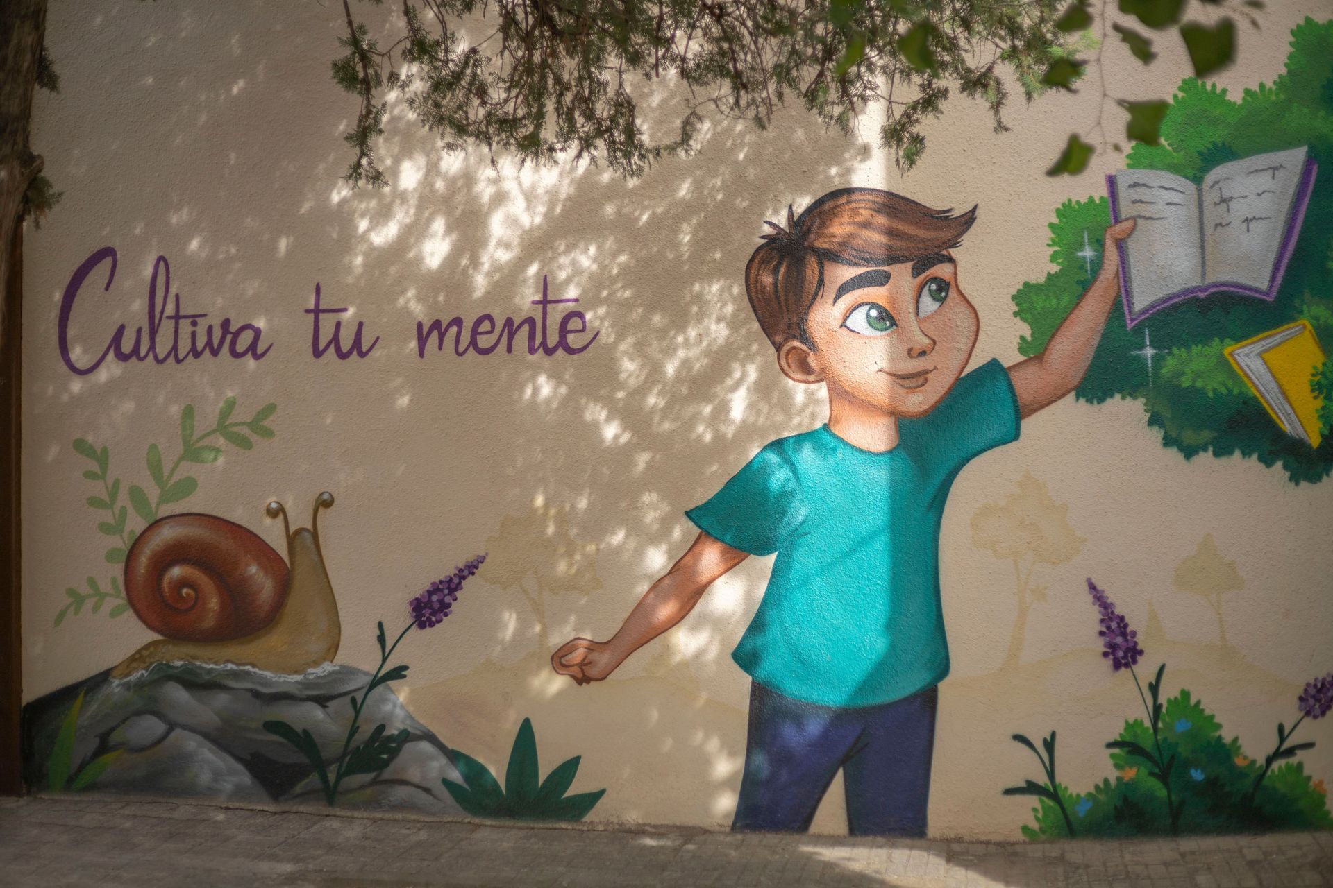 Imagen de la galería número 2