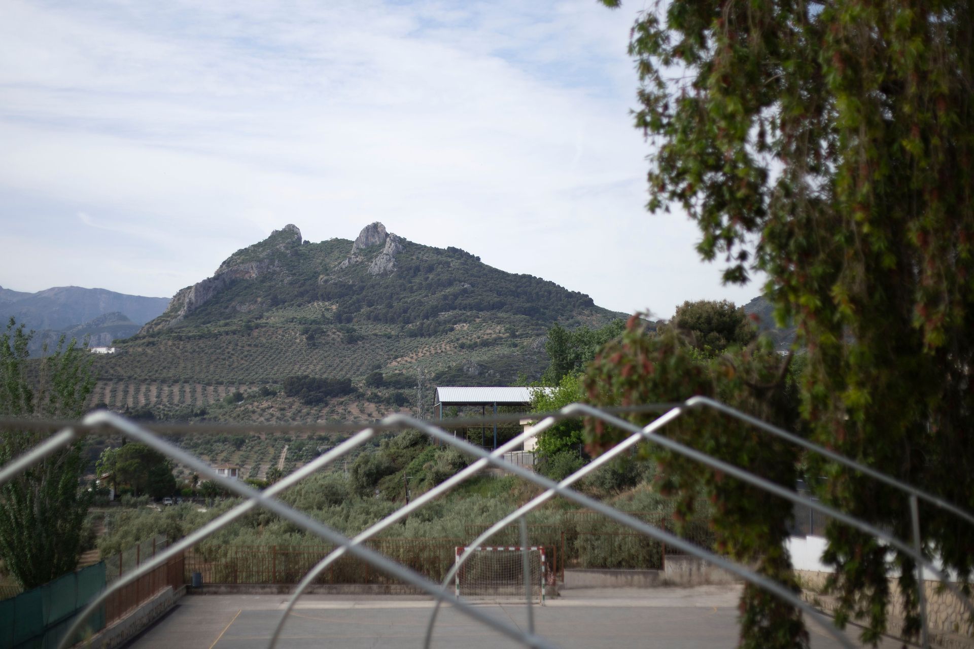 Imagen de la galería número 3