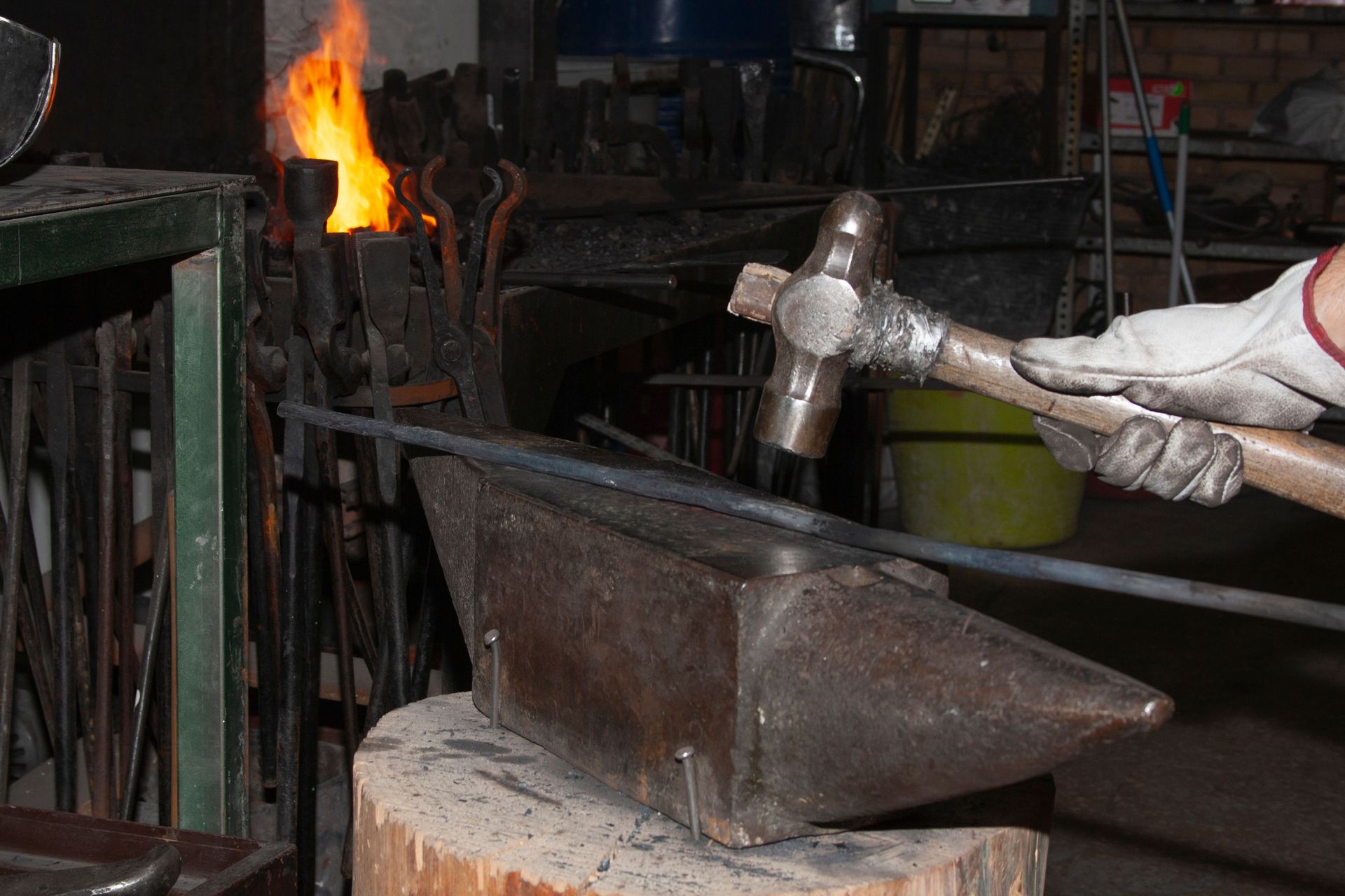 Imagen de la galería número 4